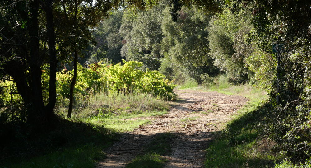 Boucle de la Garrigue