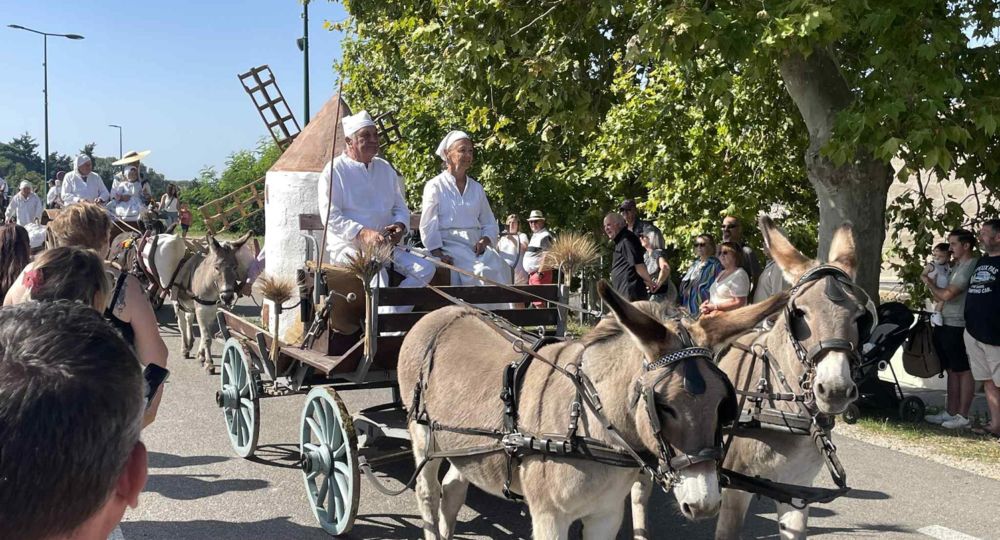 53ème Foire aux chevaux_Fourques