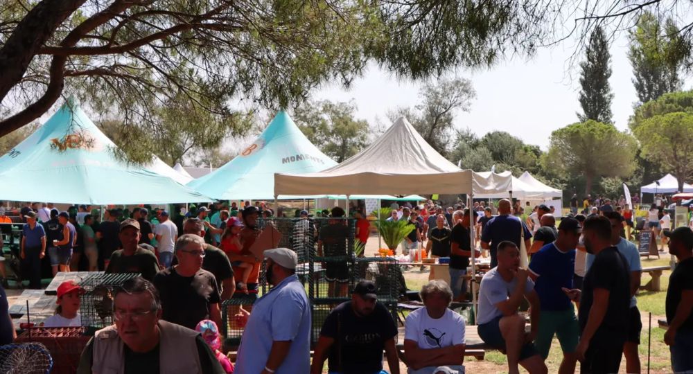 Foire des Huttiers du Sud_Vauvert