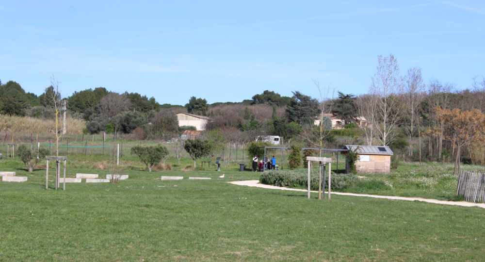 Parc de l'Esperion - Jardin Grégoire_Vauvert