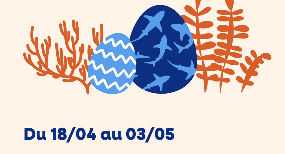 chasse au oeuf sen a4