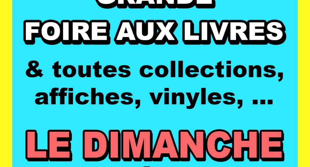Foire aux livres, vieux papiers et toutes collections_Sommières