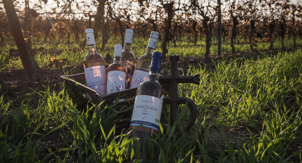 Domaine de Montcalm