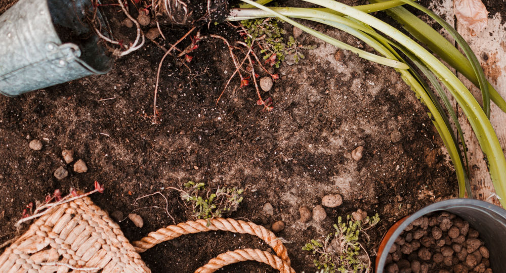 1er cours de permaculture : les vers de terre et leur rôle clé dans la santé des sols_Villeneuve-lez-Avignon