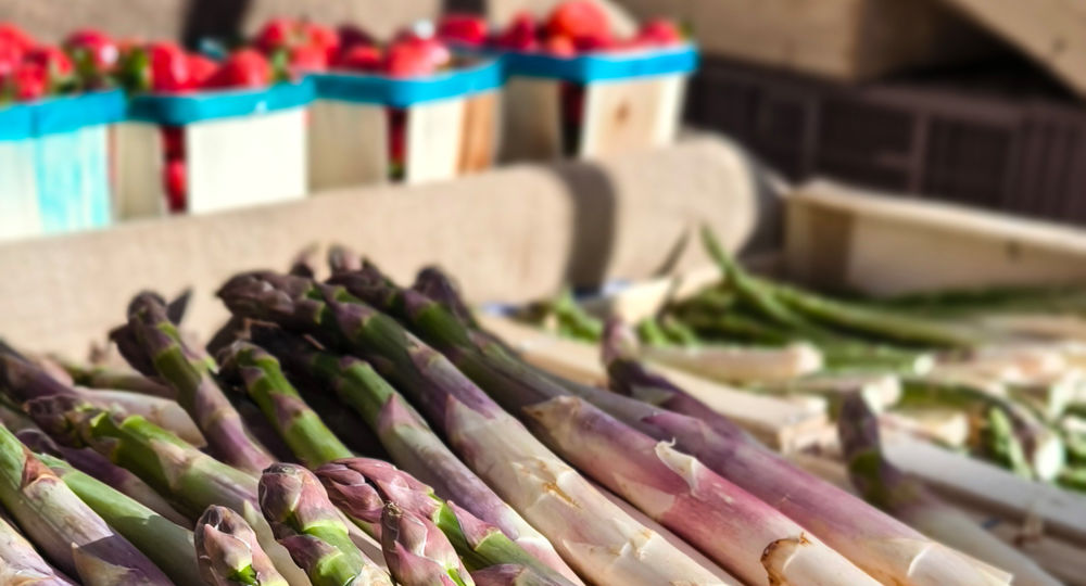 Marché de producteurs locaux_Rochefort-du-Gard
