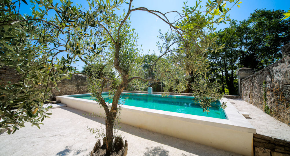 Les Yourtes de Provence : Chêne
