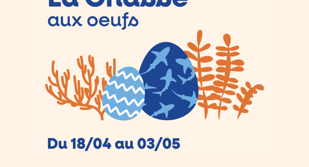 chasse au oeufs format carré