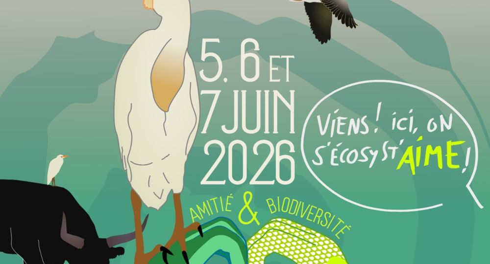 ACTE#6_Saint-Gilles