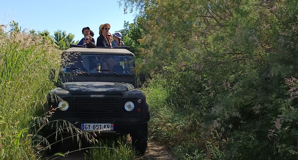 Safari Karine Coeur de Camargue_Vauvert