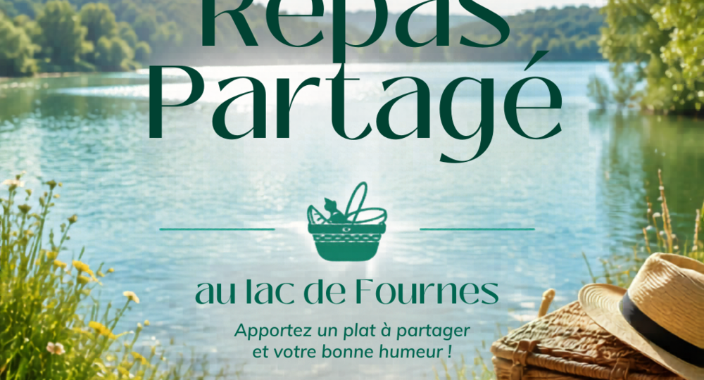 Repas partagé au lac