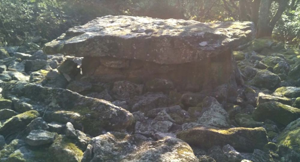 Dolmen de la Grande Pallière à Thoiras_Thoiras-Corbès