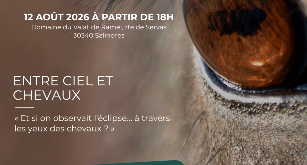 Entre ciel et Chevaux