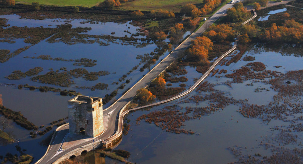 Tour Carbonnière