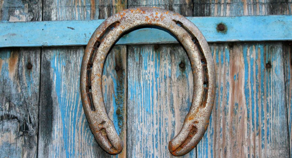 Visites guidées du Haras