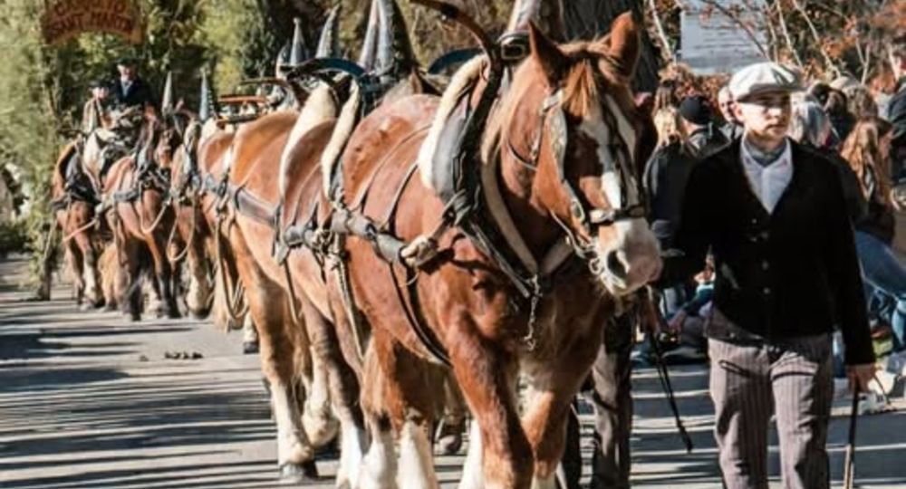 Foire de la Saint Martin d'Aramon_Aramon