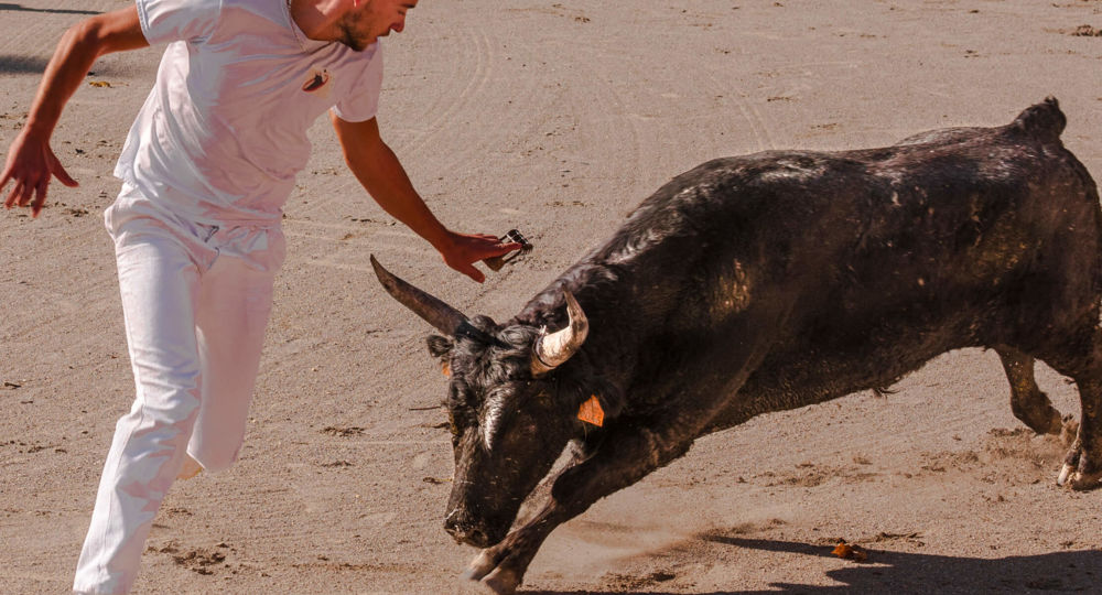 Courses Camarguaises Challenge 2026 de la Terre d'Argence à Vallabrègues_Vallabrègues