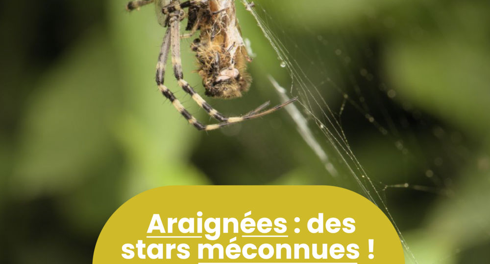 Rendez-vous Nature - Animations et balades Nature gratuites à Bernis