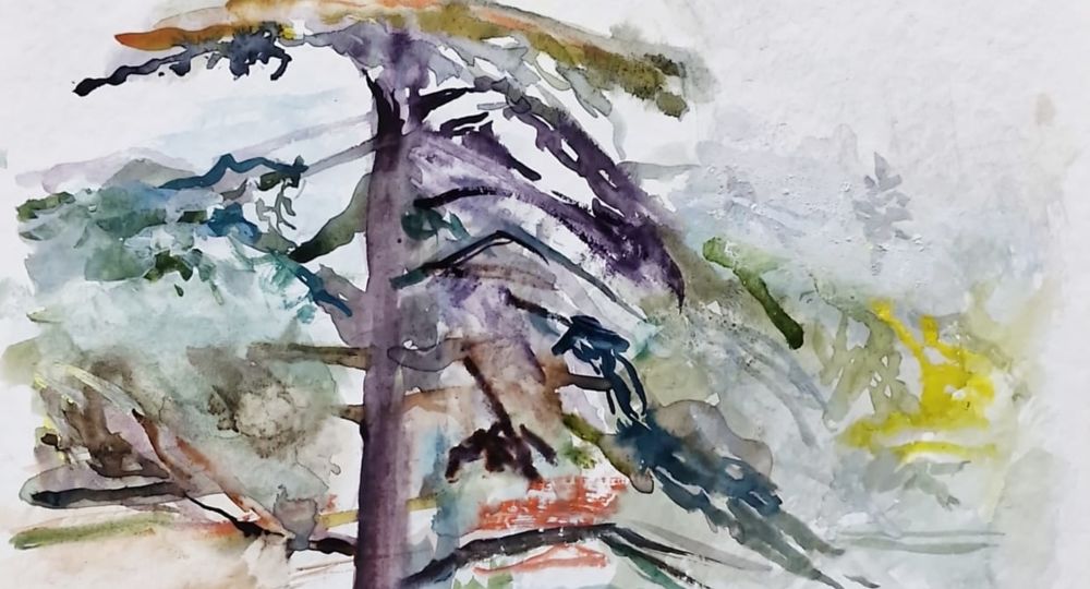 Exposition «Paysages» de Michel Steiner_Villeneuve-lez-Avignon