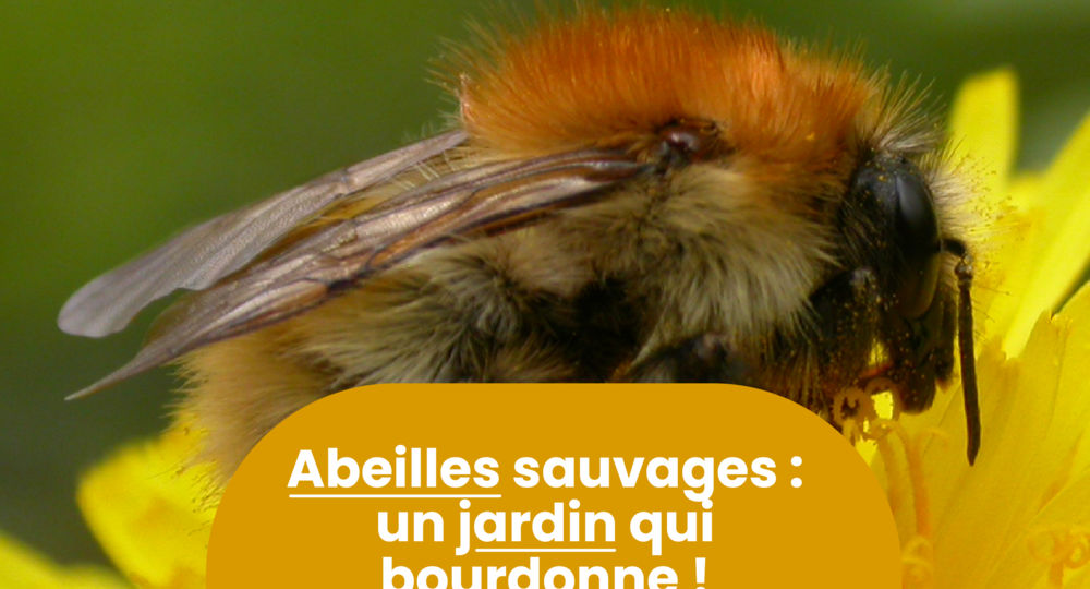 Rendez-vous Nature - Animations et balades Nature gratuites à Caveirac