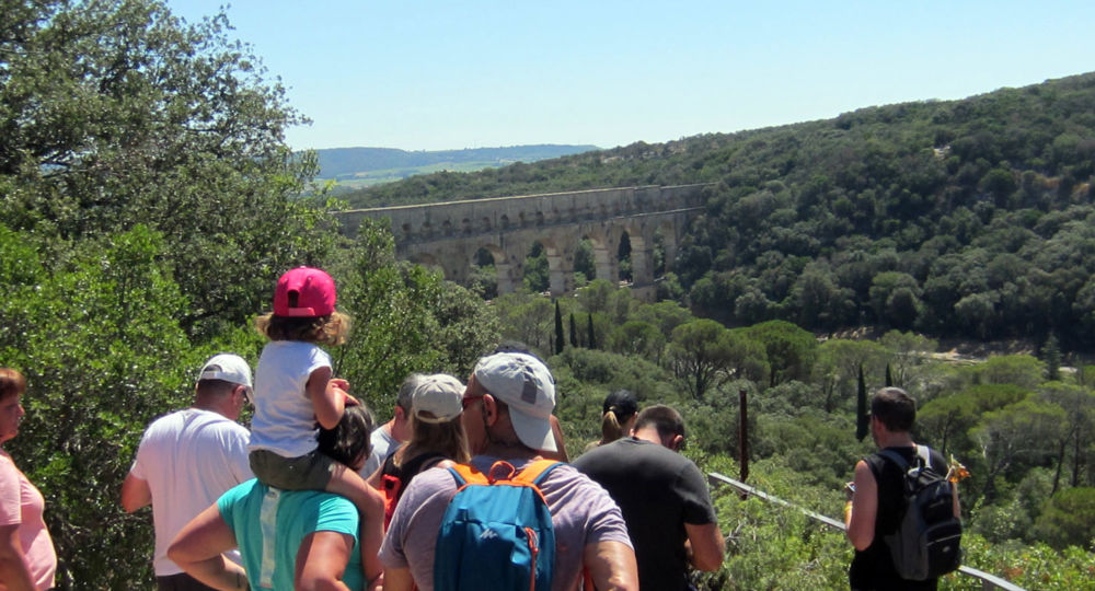 Balade à la découverte des plantes sauvages comestibles au Pont du Gard