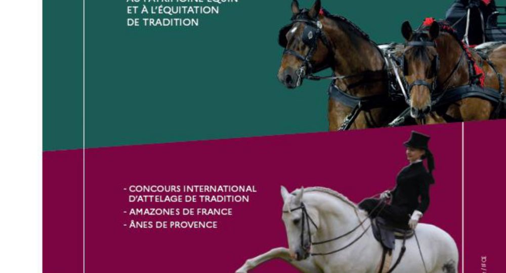 Les Automnales au Haras d'Uzès_Uzès