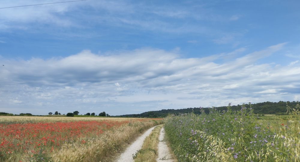 Parcours VTT 2 - Uzès Les Capitelles_Uzès