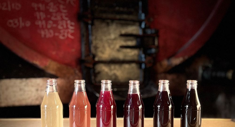 Dégustation signature au Domaine Tour Paradis_Aiguèze