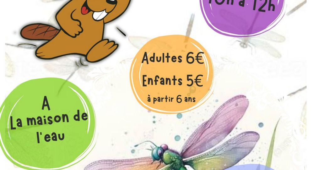 Sortie nature - Libellule et demoiselles, les reines de la rivière_Les Plantiers
