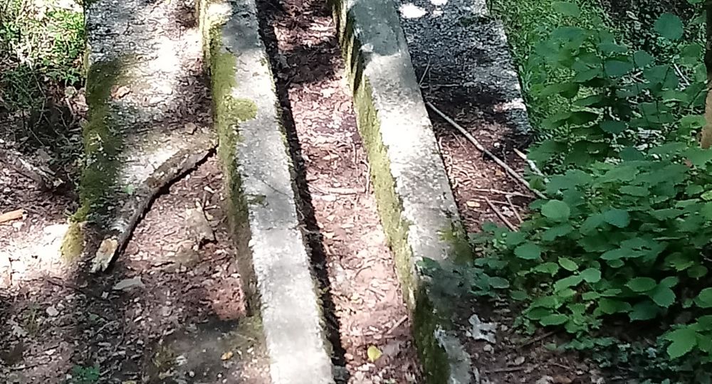 Le Béal de St Sébastien d'Aigrefeuille_Saint-Sébastien-d'Aigrefeuille