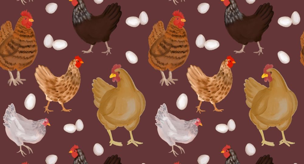 Recycl'art parents enfants_Uzès