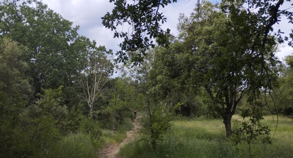 Parcours VTT 2 - Uzès Les Capitelles_Uzès