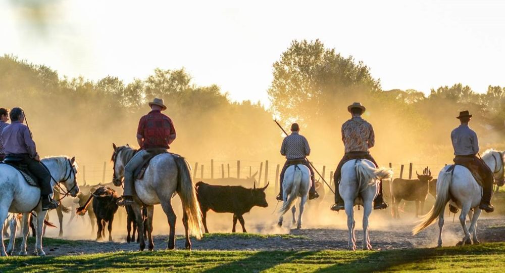Soirées Camarguaises à la Manade Jullian_Aigues-Mortes