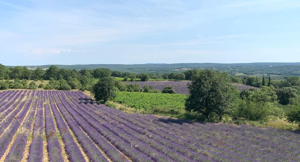Le Mas de Linde : Accueil de groupes