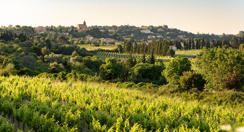 Domaine de la Lôyane_Rochefort-du-Gard