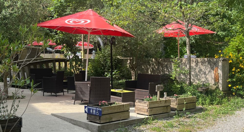 Terrasse oliviers