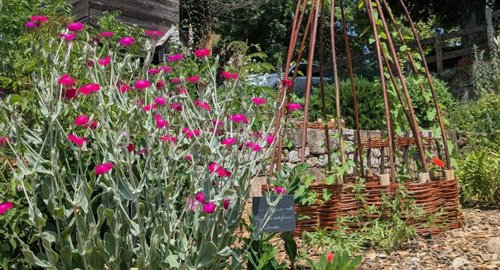Jardin Médiéval