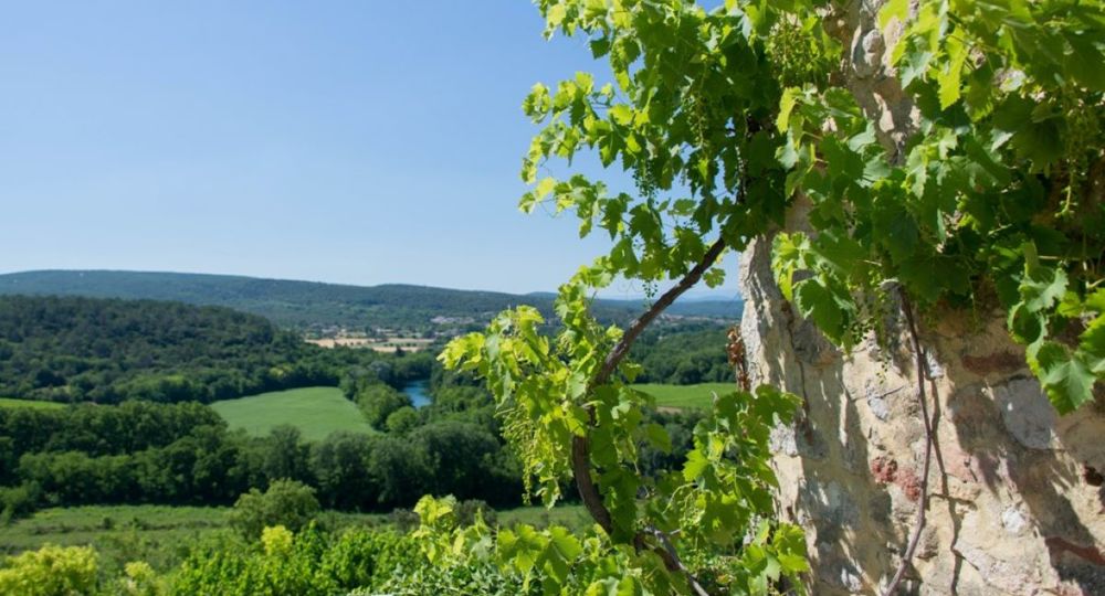 Gîtes Domaine de Gressac : Pélisse