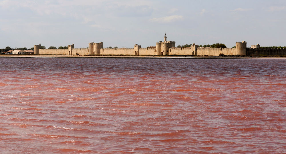 Les tours et remparts d'Aigues-Mortes