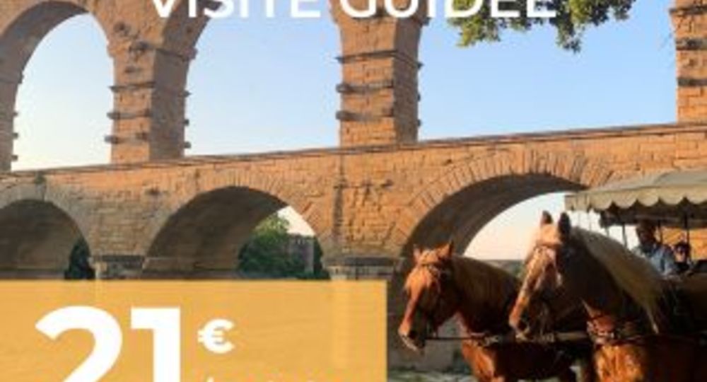 La visite en calèche au Pont du Gard