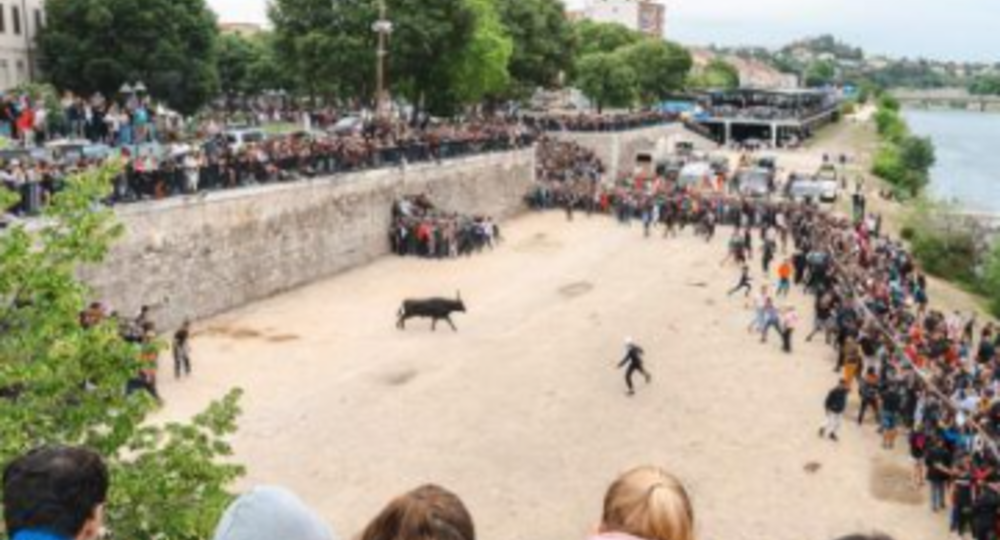 Féria d'Alès - Encierro_Alès