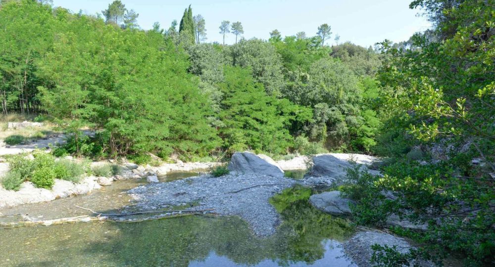 La rivière dans tous les sens