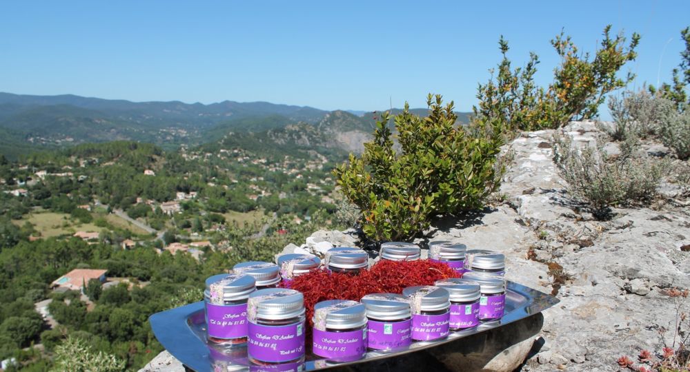 Producteur de Safran d'Anduze_Saumane