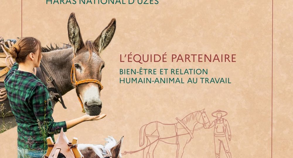 Colloque - équi-meeting traction et portage_Uzès