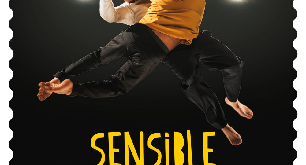 Spectacle de cirque 