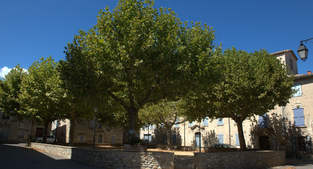 Le Critérium des vignes_Lédignan