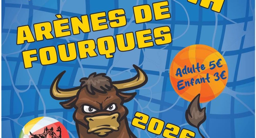 Toro piscine_Fourques