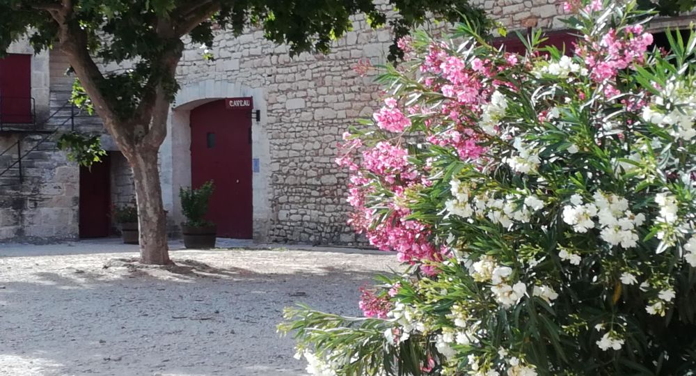 Visite et dégustation du Domaine de la Tour_Beaucaire