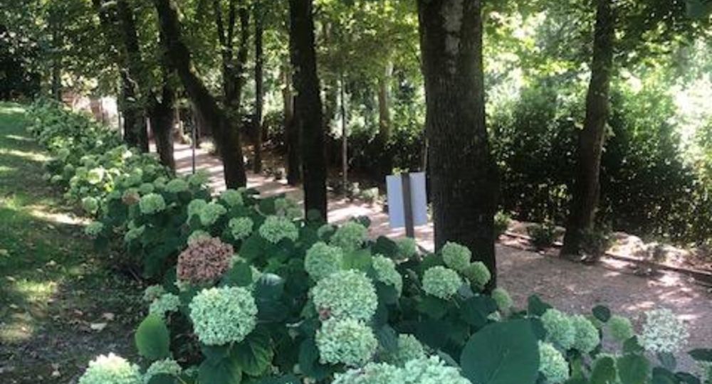 Matinée Yoga Bien-être Enchanteur dans un jardin remarquable