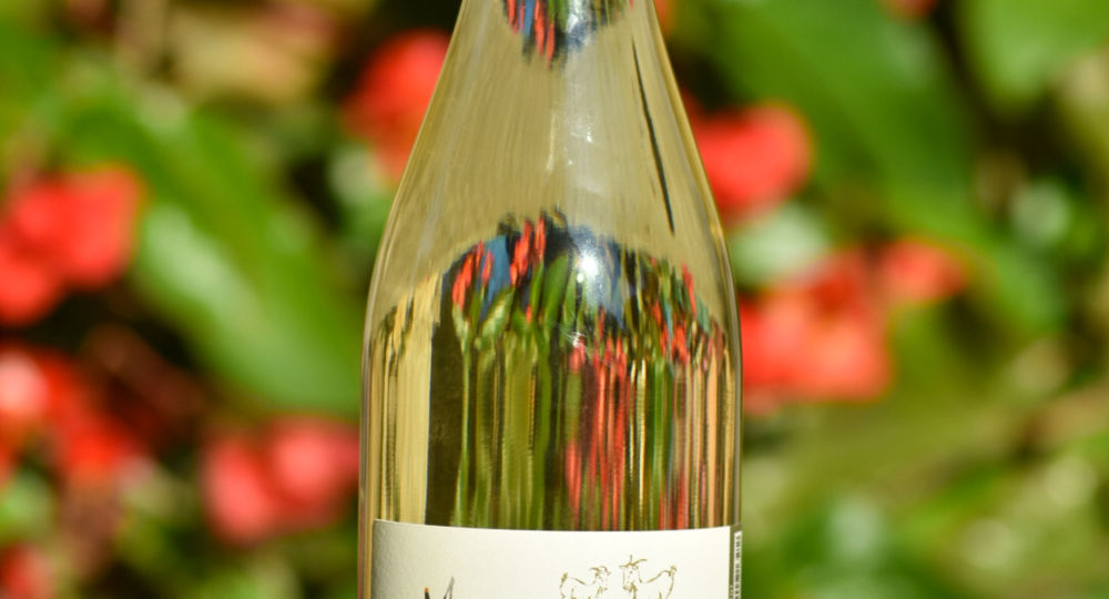 Visite du vignoble & dégustation des vins - Mas des Cabrettes_Saint-Nazaire-des-Gardies