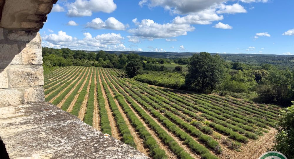 Le Mas de Linde_Saint-Privat-de-Champclos